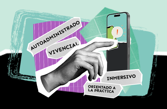 Tarjeta Flacso
