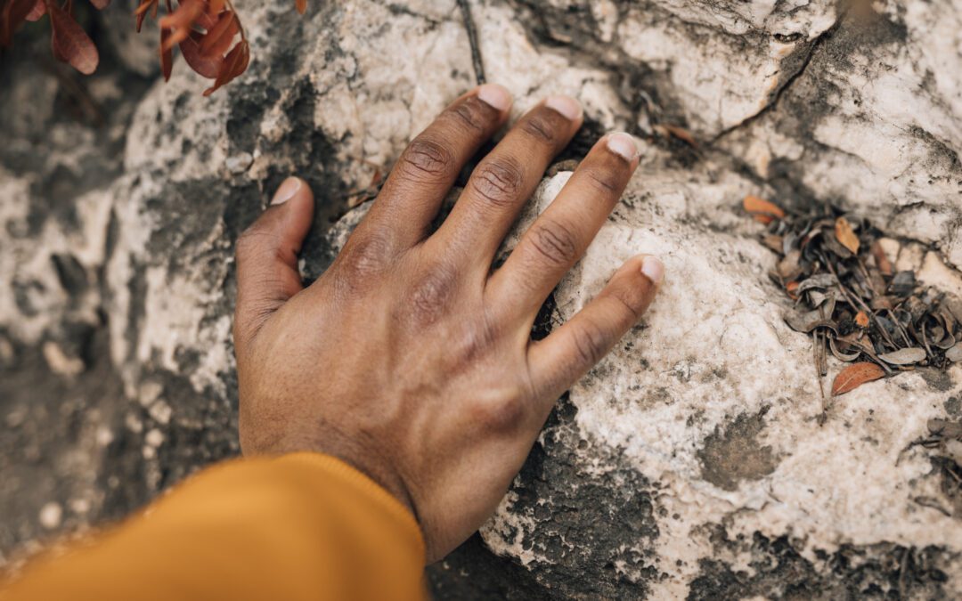 El derecho desde el territorio: el modelo latinoamericano de Clínicas Jurídicas Ambientales